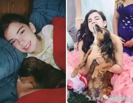 小狗與主人十年照片對比,我長大了,它變老了;滿滿的都是感動