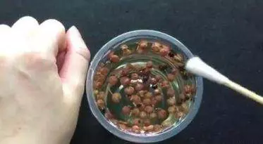 花椒加上大蒜,效果居然這麼好,活了20多年才知道,看完趕緊試試