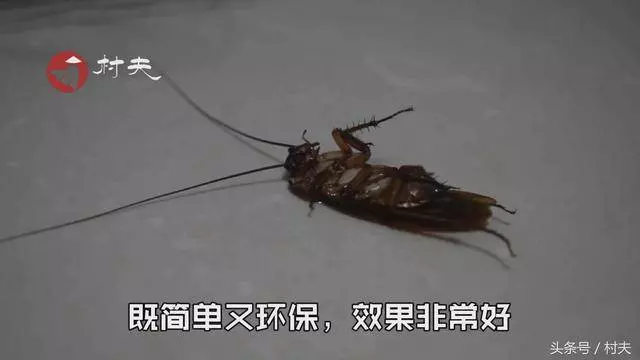 不小心被燙傷了,試試這兩個方法,試過的人都說非常棒