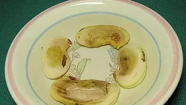 吃完的芒果先別急著扔,一個媽媽做了這件事,奇蹟就發生了...
