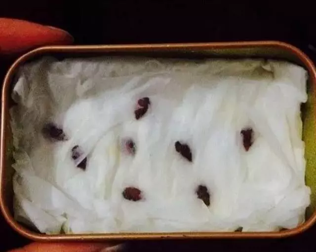 吃完的芒果先別急著扔,一個媽媽做了這件事,奇蹟就發生了...