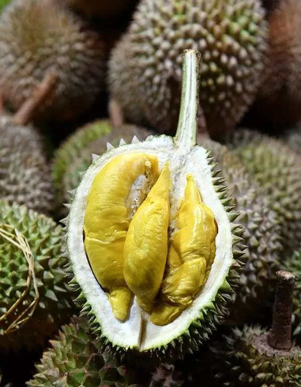 瑞典「最噁心食物」 榴槤、燕窩榜上有名