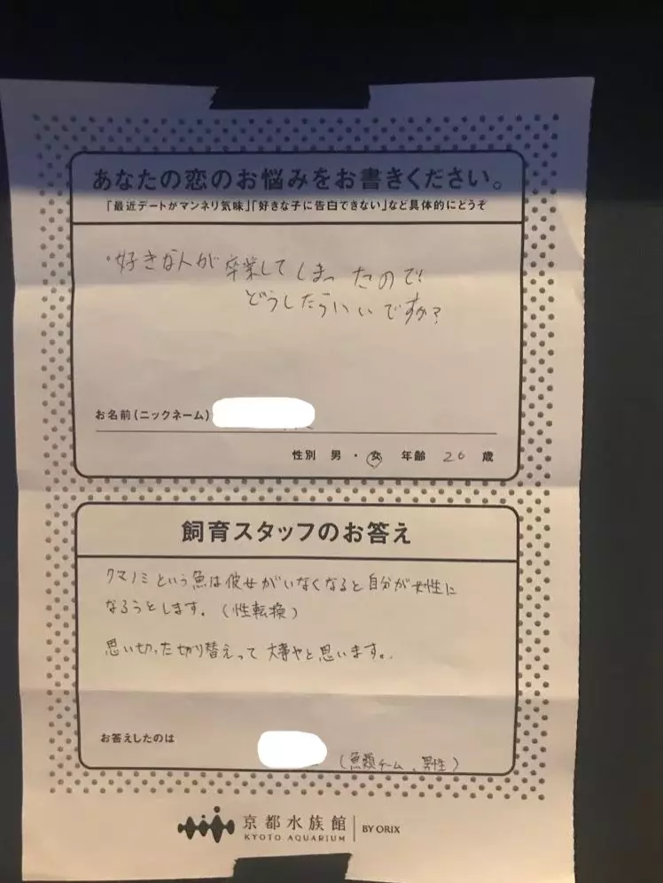 日本水族館推出「戀愛諮詢服務」!遊客:喜歡的人有男友怎麼辦 員工「發揮專業逗趣回覆」被推爆