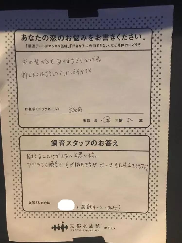 日本水族館推出「戀愛諮詢服務」!遊客:喜歡的人有男友怎麼辦 員工「發揮專業逗趣回覆」被推爆