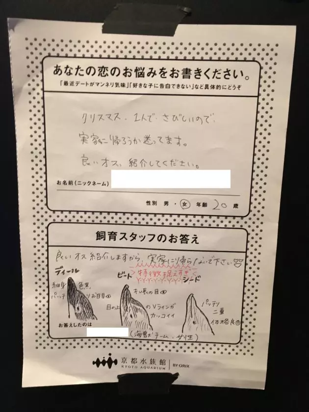 日本水族館推出「戀愛諮詢服務」!遊客:喜歡的人有男友怎麼辦 員工「發揮專業逗趣回覆」被推爆