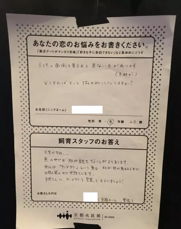 日本水族館推出「戀愛諮詢服務」!遊客:喜歡的人有男友怎麼辦 員工「發揮專業逗趣回覆」被推爆