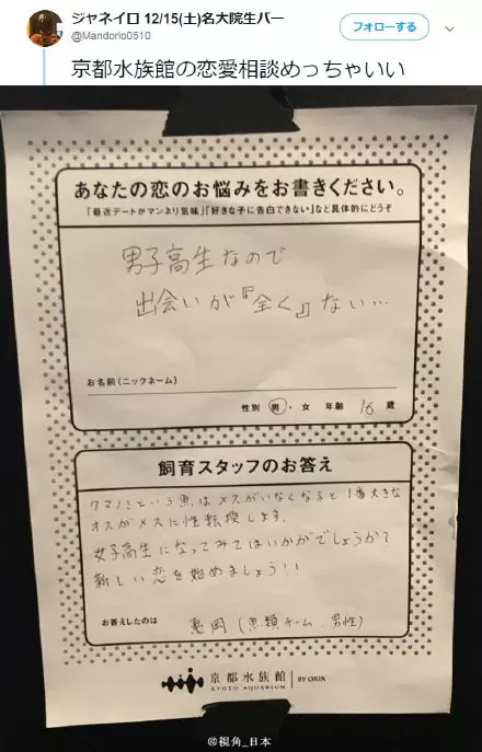 日本水族館推出「戀愛諮詢服務」!遊客:喜歡的人有男友怎麼辦 員工「發揮專業逗趣回覆」被推爆