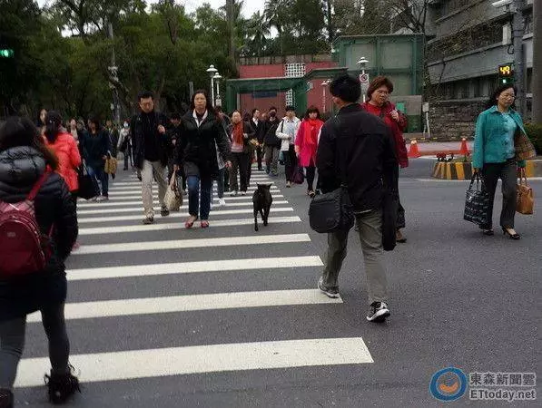 台灣讓日本人驚嚇的18件不可思議!旅客遭「大量機車包圍」以為被暴走族盯上XD