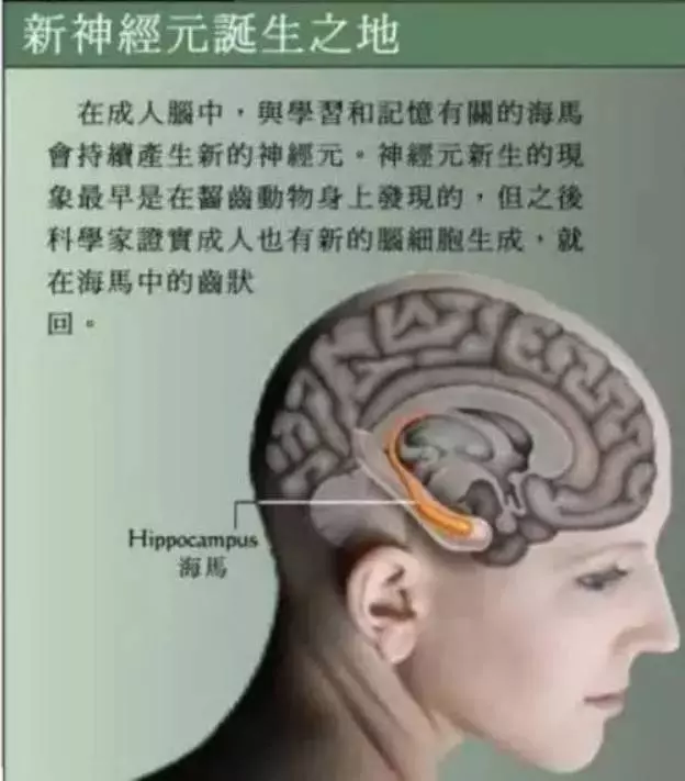 發展孩子大腦最好的三個方法:運動、閱讀和遊戲!