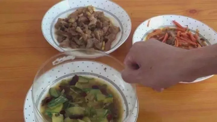 塑膠油桶不要再扔了,只要「切三刀」放進冰箱,省錢又實用,家家戶戶都用得到!