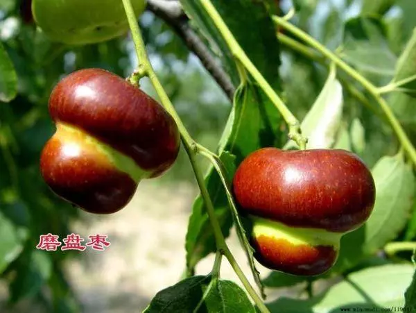 女人不想變老,吃七樣食物給身體「洗洗澡」,年輕氣色好!