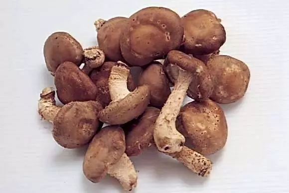 三個古老降血糖藥方,原理各有不同,但效果一樣卓越!收藏起來,有備無患!