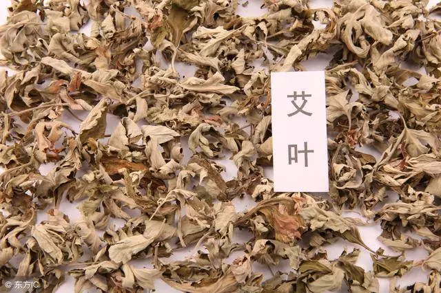 用艾葉煮水來洗頭,具有3大功效,很多人卻當垃圾扔了