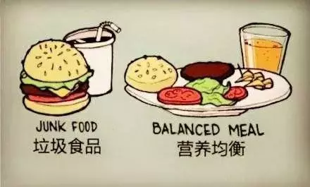 1個雞腿漢堡的能量相當於5碗米飯!教您既美味又健康的營養搭配法!
