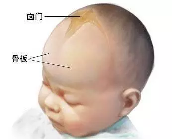 兒科醫生透露:多摸寶寶3個部位將來智商超群,而這2個部位是親媽就別碰!