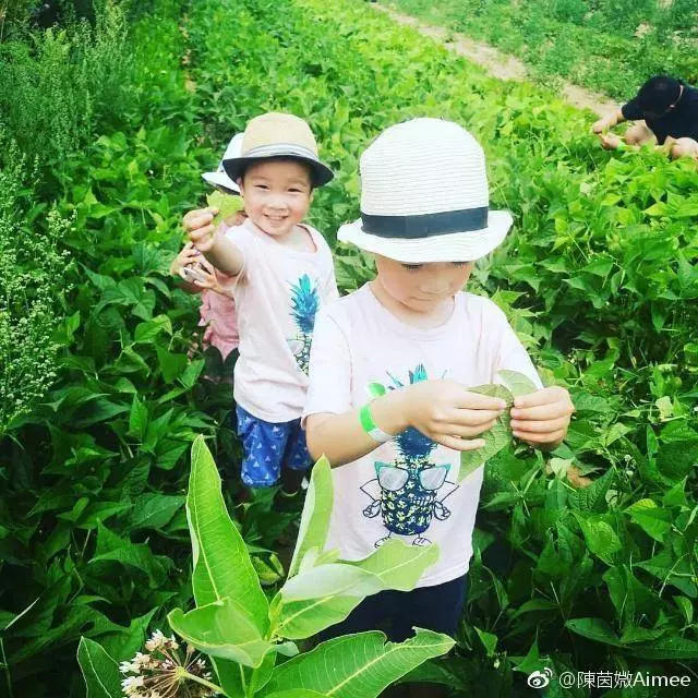 陳豪陳茵媺3子女近照曝光,女兒長相美艷動人,簡直就遺傳到媽媽的好基因,兒子卻一言難盡…