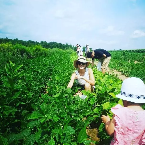 陳豪陳茵媺3子女近照曝光,女兒長相美艷動人,簡直就遺傳到媽媽的好基因,兒子卻一言難盡…