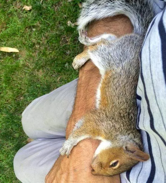 這24隻動物真的超會放鬆心情的~真是羨慕啊~