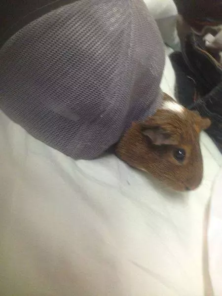 這24隻動物真的超會放鬆心情的~真是羨慕啊~