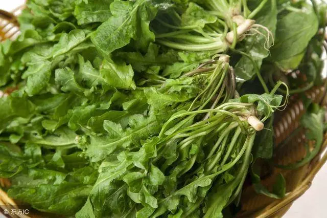 眼睛模糊看不清,3種食物要多吃,明目、潤眼、恢復視力