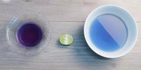 「蝶豆花」好喝又保健,養生功效多多,但是這幾種人不能喝,特別是孕婦!