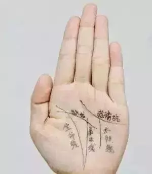 女人此處越大,命就會越好,註定一生大富大貴!!