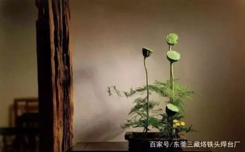悟透這7句話,終身不生氣!