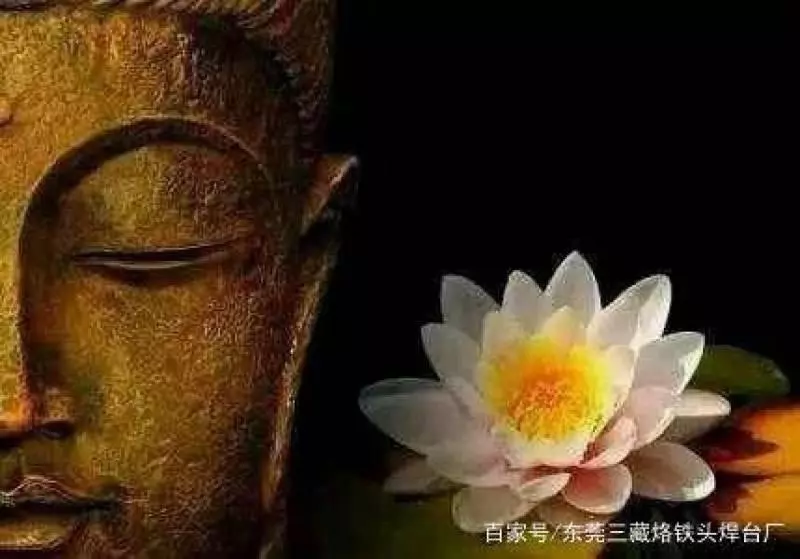 悟透這7句話,終身不生氣!