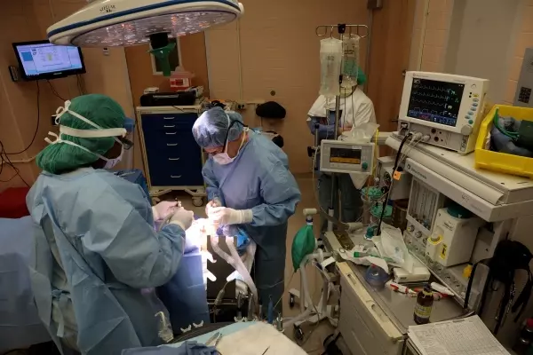 手殘醫「裝錯邊」!隱睪症變...2歲男童從此變公公!媽媽崩潰:人生全毀