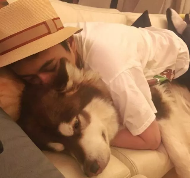 王思聰曬愛犬伙食,網友:我去搬磚了