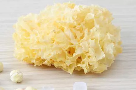 6味良藥 !入秋後養肺滋陰 , 生津潤燥!