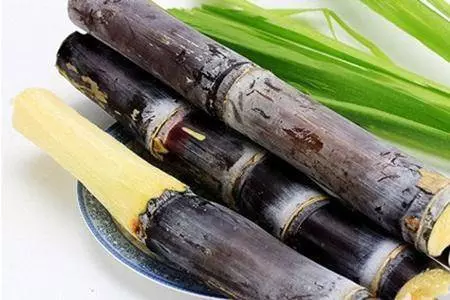 6味良藥 !入秋後養肺滋陰 , 生津潤燥!