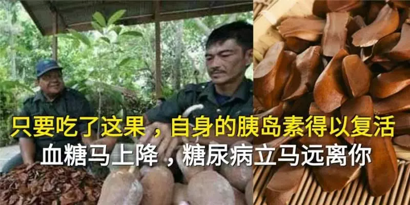 這個果真神奇,只要吃了它,自身的胰島素得以「復活」,血糖馬上降,糖尿病立馬遠離你。