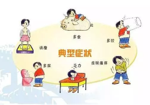 這個果真神奇,只要吃了它,自身的胰島素得以「復活」,血糖馬上降,糖尿病立馬遠離你。