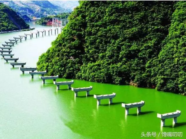 中國花4億建成水上公路,老外看了直呼:太厲害了!美如仙境!