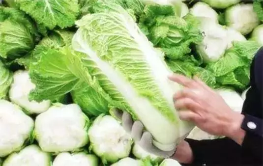 食材鑒定告訴你,白菜上有黑點能吃嗎?
