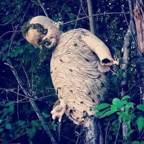 6張會讓你一邊看一邊「哇哇哇挖噢」的神奇照片。龍捲風的「進化過程」未免也太震撼了...