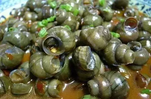 6種食物隱藏大量【寄生蟲】!很多人每天都在吃,當心體內長滿寄生蟲!