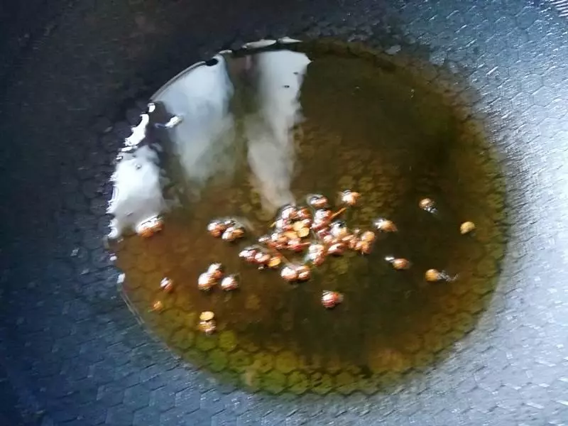 秋季乾燥要給家人多吃這個菜,物美價廉,教你這樣做,好吃不上火