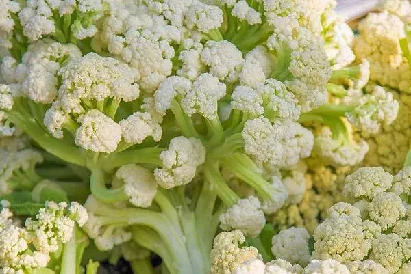 炒菜花時放一點它,脆嫩爽口比吃肉香,大廚都用這方法