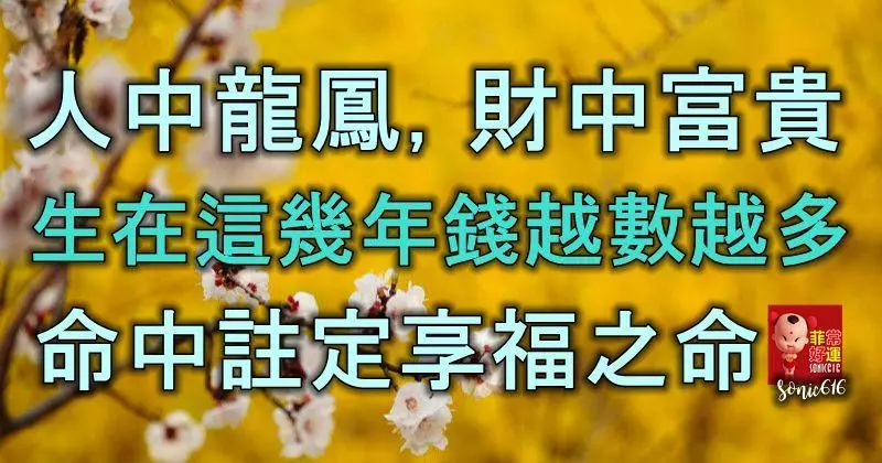 人中龍鳳,財中富貴,生在這幾年錢越數越多,命中註定有享福之命!