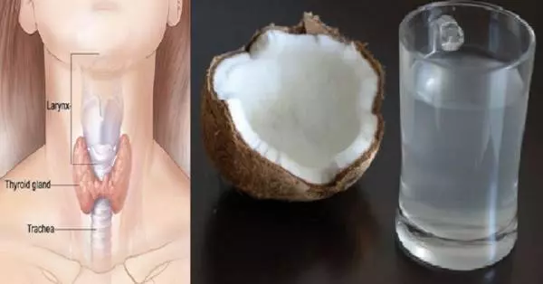 「椰子水」除了好喝消暑,還能改善甲狀腺功能,另有「7大功效」真的是太強大了!!