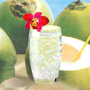「椰子水」除了好喝消暑,還能改善甲狀腺功能,另有「7大功效」真的是太強大了!!