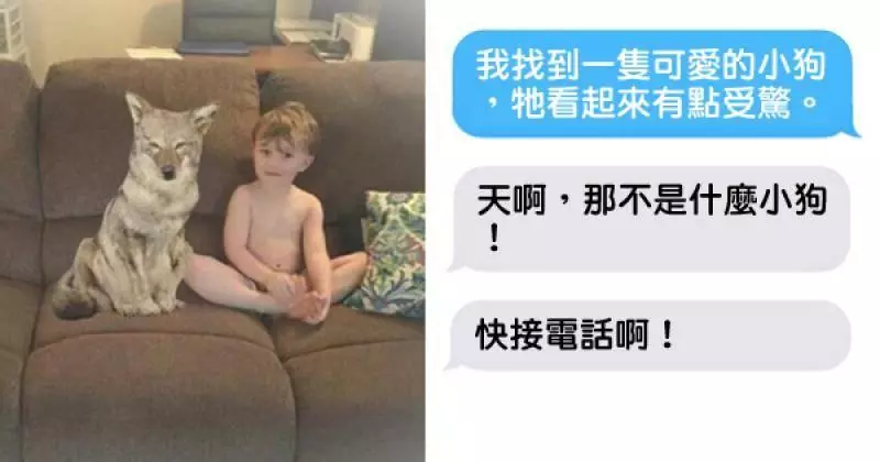 天兵老婆傳照片告訴老公「我帶了狗狗回家」,老公一看就認出那是野狼頓時嚇得魂飛魄散…XD