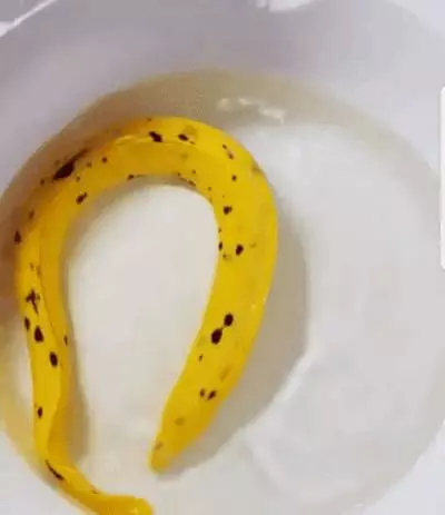 6個會讓你開始「想挖出自己眼球」的詭異錯覺照。看到最後懷疑自己根本嗑了藥