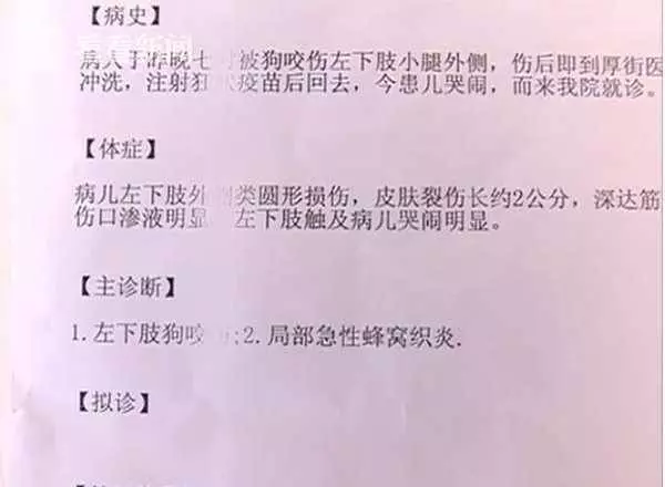 9個月女嬰,遭惡犬撲咬滿腿是血狗主人拖欠賠償還稱:狗已賣掉!