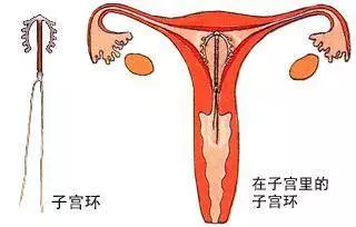 生了孩子的女人每月喝一次,四十歲都不顯老!