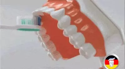 幼兒保健|為什麼我不愛吃糖也有蛀牙?怎麼才能有效的預防蛀牙