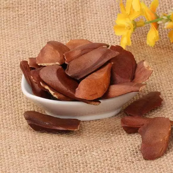 糖尿病患者別慌,看百歲老中醫教你怎麼用「紅豆」巧治「高血糖」!!