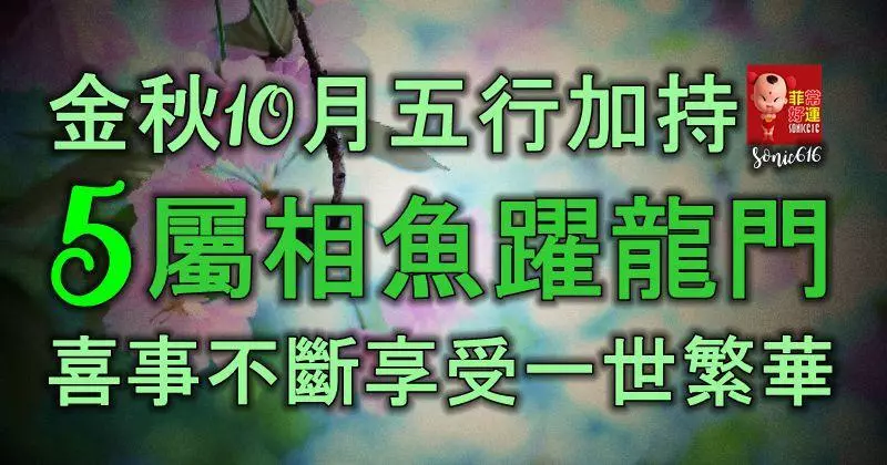 金秋10月,五行加持,5大屬相魚躍龍門,喜事不斷,享受一世繁華!